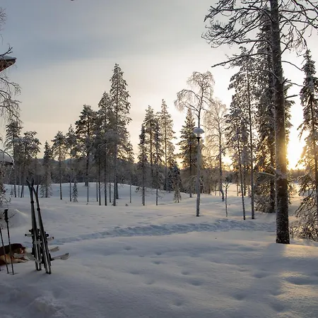 Rukan Salonki Ruka